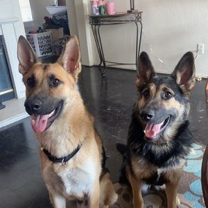 Meet your Posher, Madalynn